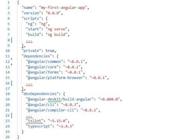 Angular package.json file overview