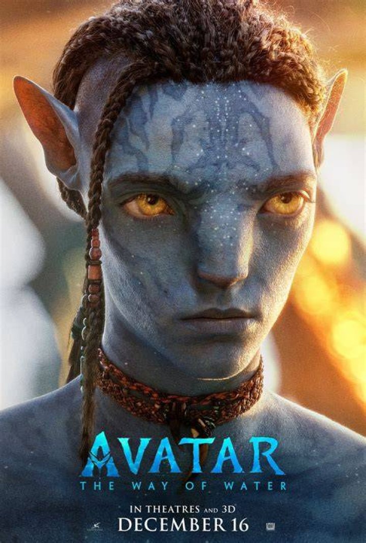 Avatar Films, Avatar Movie, Avatar Characters, Avatar Disney World
