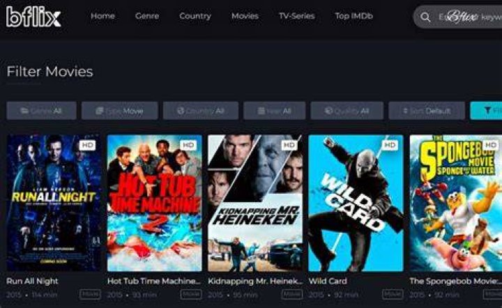 BFlix The New Platform To Watch Your Favorite Movies