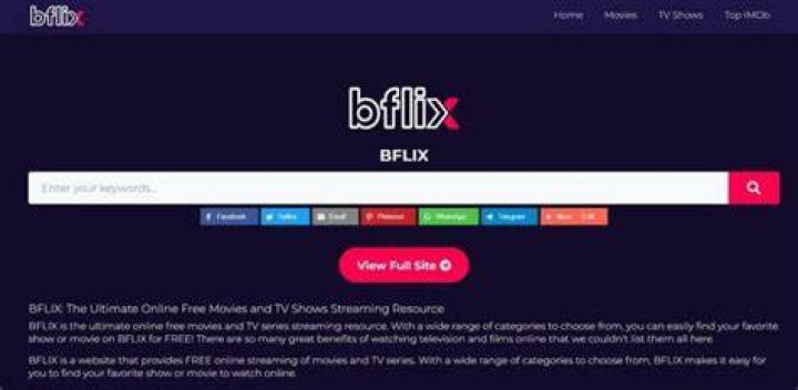 BFlix Website Overview and Its Best Alternatives
