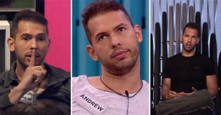 Big Brother Andrew Tate's homophobic and racist tweets have been