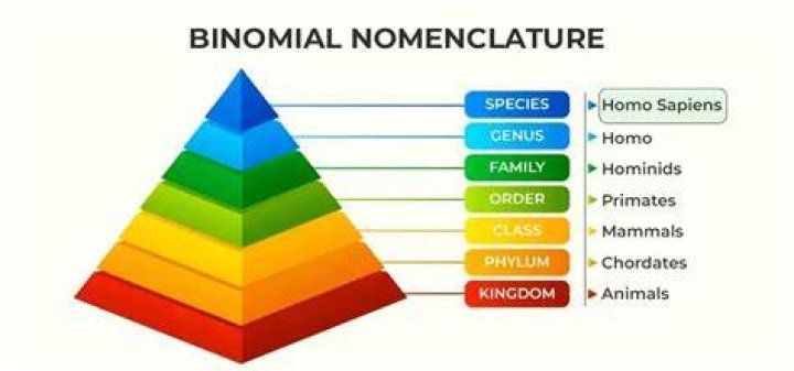 Binomial Nomenclature Biology Simple