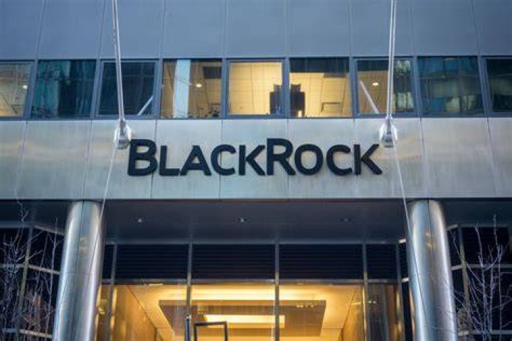Blackrock says crypto could evolve into a 'great asset class' TechStory
