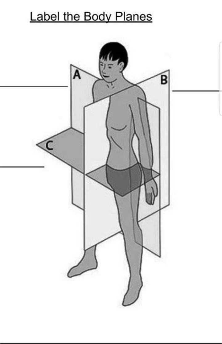 Body Planes Diagram Quizlet
