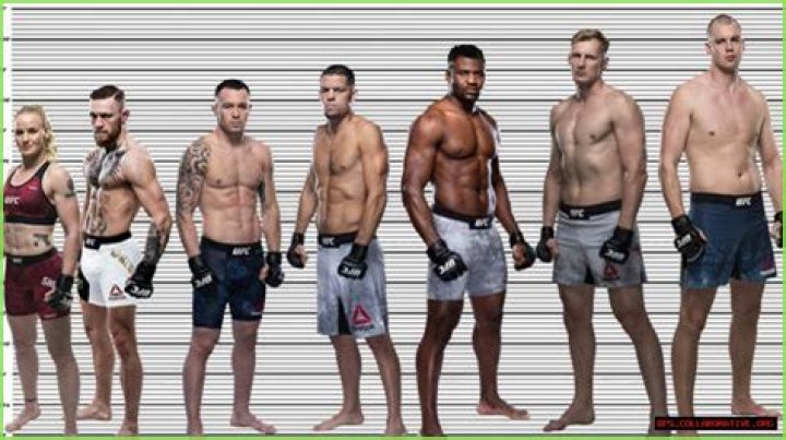 Conor Mcgregor Height In Feet And Inches Sioux Eachelle