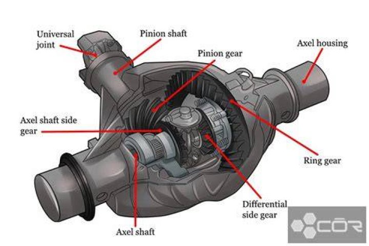 Differential Fluid How Much Does Your Car Need? My Jeep Car