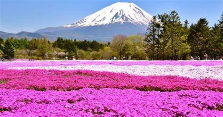 Discover The Enchanting Allure Of Bleking: A Guide To Its Natural Wonders