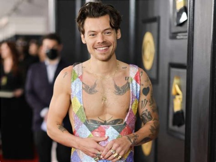 Does Harry Styles Have a Daughter? Debunking the Rumor Behind Darcy
