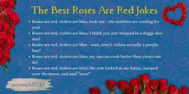 Funny Roses Jokes Roses are red funny, Roses are red poems, Red roses