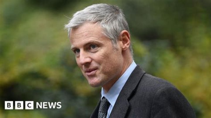 Green campaigner Lord Goldsmith loses environment job BBC News