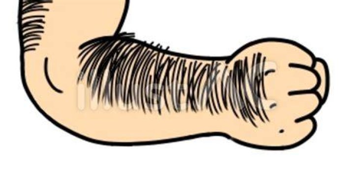Hairy Hands Clipart Vector, Hand Drawn Wind Red Hairy Crab, Hairy Crab