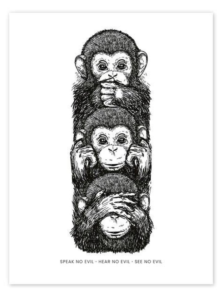 Hear No Evil, See No Evil, Speak No Evil Black and White Monkey Photo