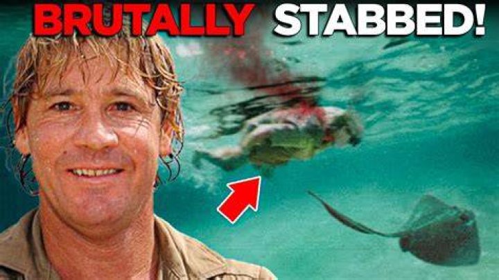 How did Steve Irwin die? Here is the untold story of The Crocodile
