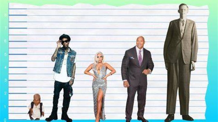 How Tall Is Wiz Khalifa? Height Comparison! YouTube