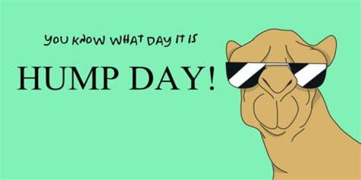 Hump Day PNG HD Transparent Hump Day HD.PNG Images. PlusPNG