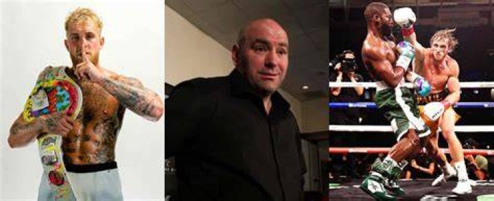 Jake Paul labels UFC president Dana White as Conor McGregor’s 'Dad' at