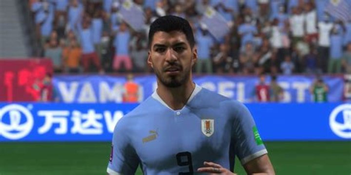 Luis Suarez tells FIFA panel that he did not deliberately bite