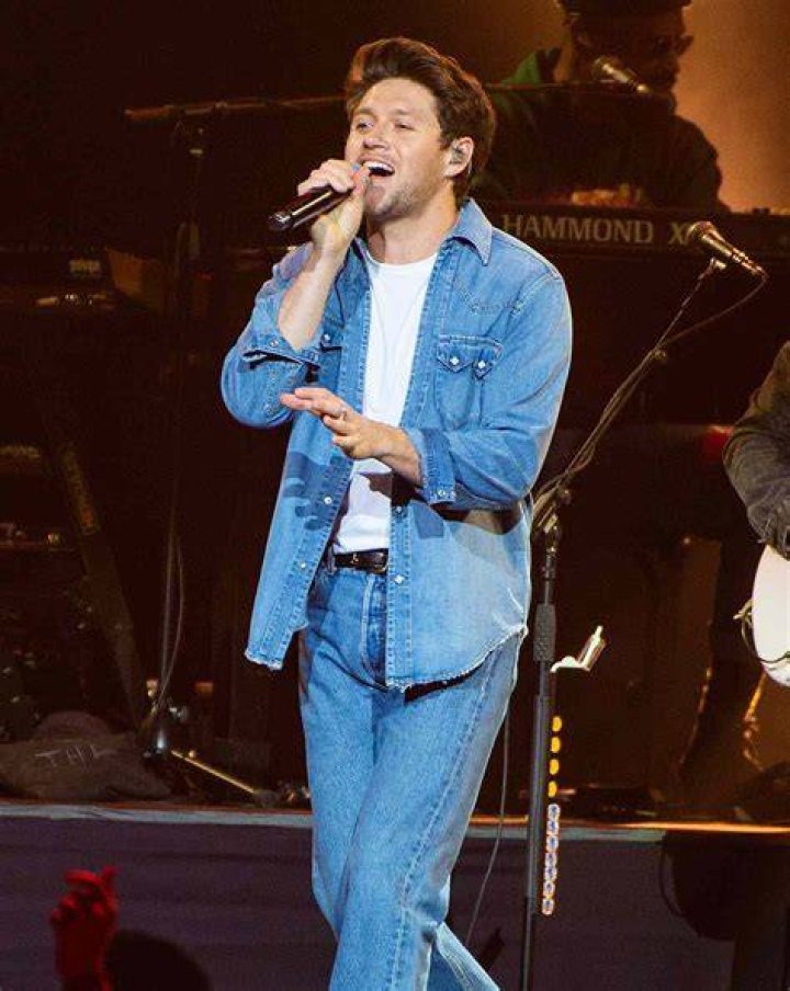 Niall Horan's Hollywood Hills Home POPSUGAR Home Photo 5
