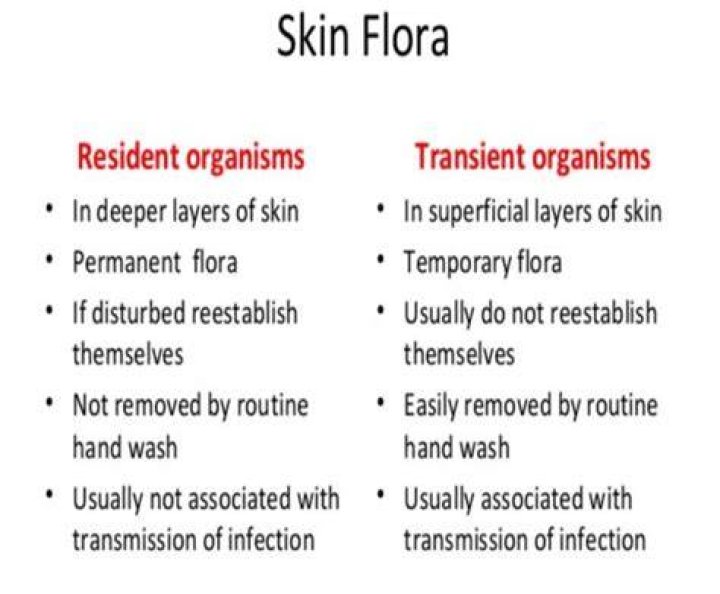 Normal Flora of the SkinSkin Microbiome &bull; Microbe Online