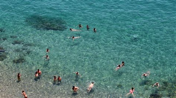 Nudist Nude Beach Sex Telegraph