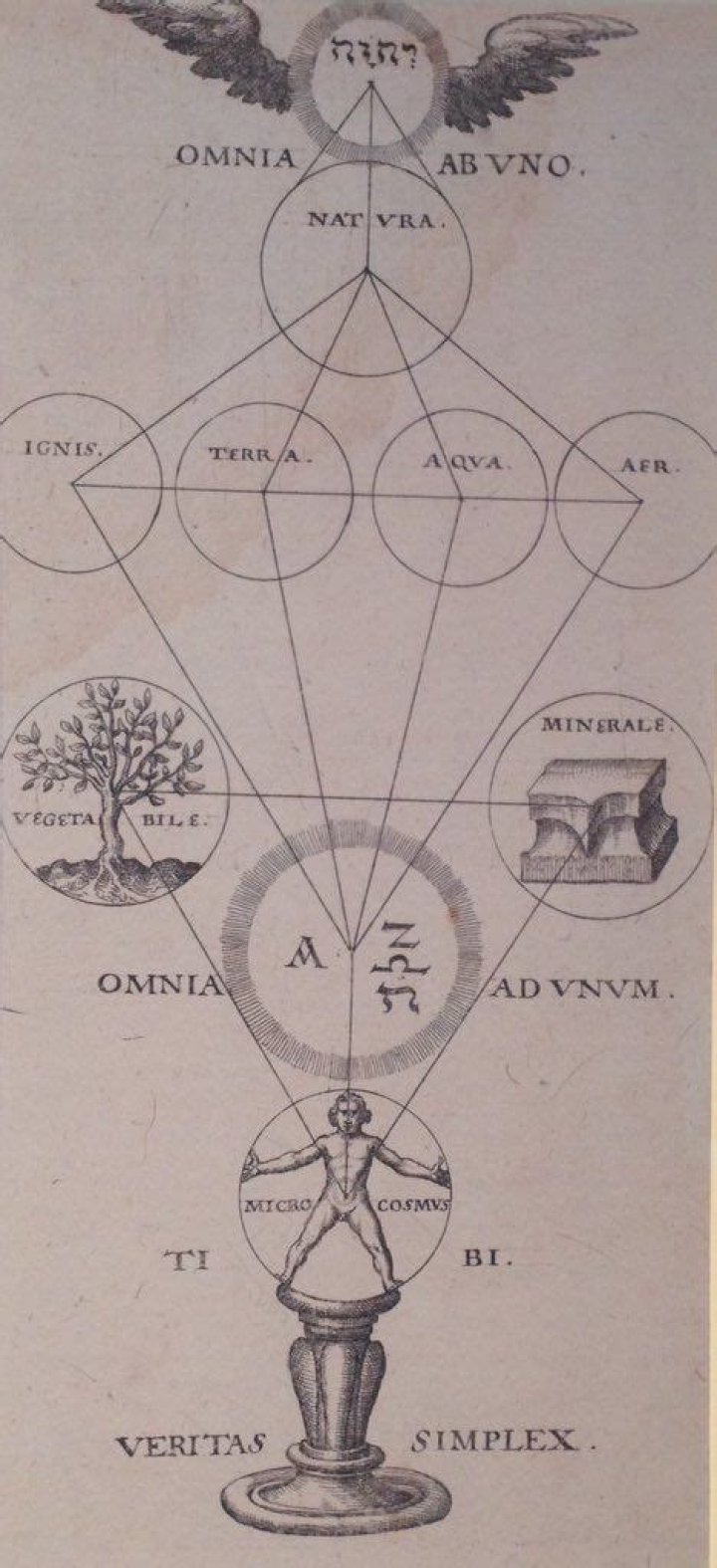 Omnia Ab Uno Everything From The One Photograph by Bill Cannon