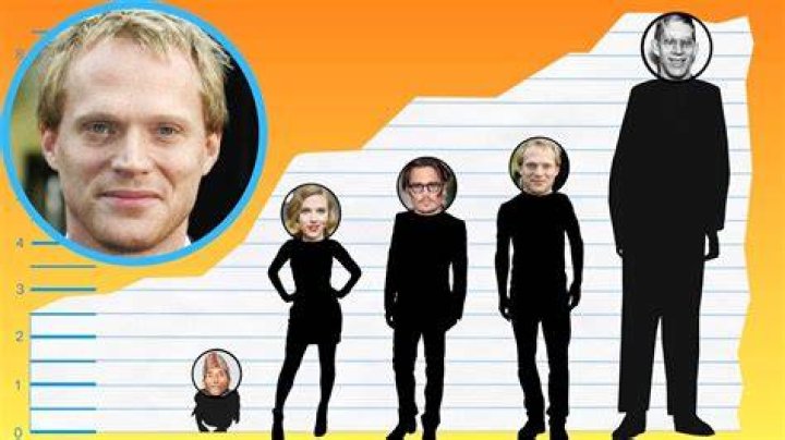 Paul Bettany Height, Weight, Body Measurements.