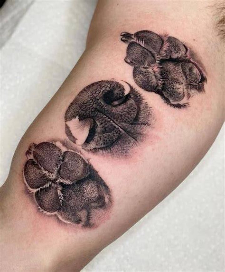 Paw Print Tattoos Designs, Ideas and Meaning Tattoos For You