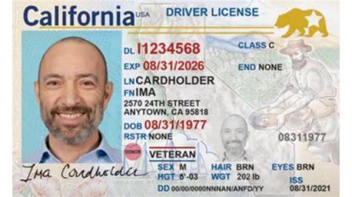 REAL ID driver's licenses start in Michigan this year. Are you ready