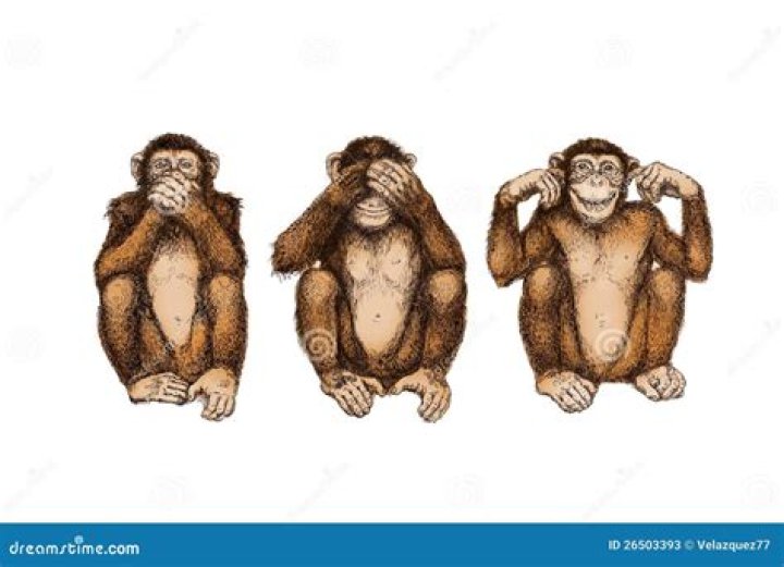See hear speak no evil cartoon Royalty Free Vector Image