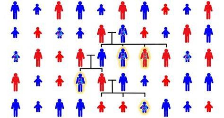 Siblings with autism share more of dad&rsquo;s genome, not mom&rsquo;s Cold