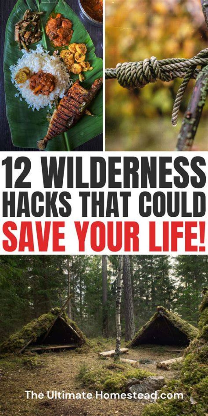 Survival Skills Life Hacks, Wilderness Survival Skills, Survival Mode