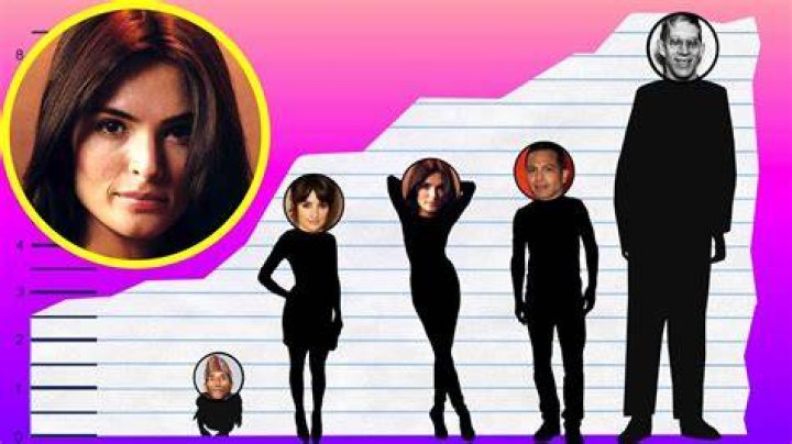 Talisa Soto Biography, Height & Life Story Super Stars Bio