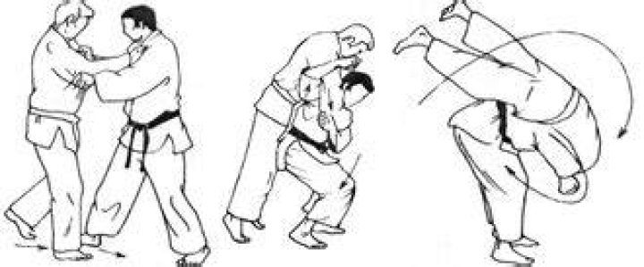 Te Waza Judo Club du Pays de B&eacute;cherel