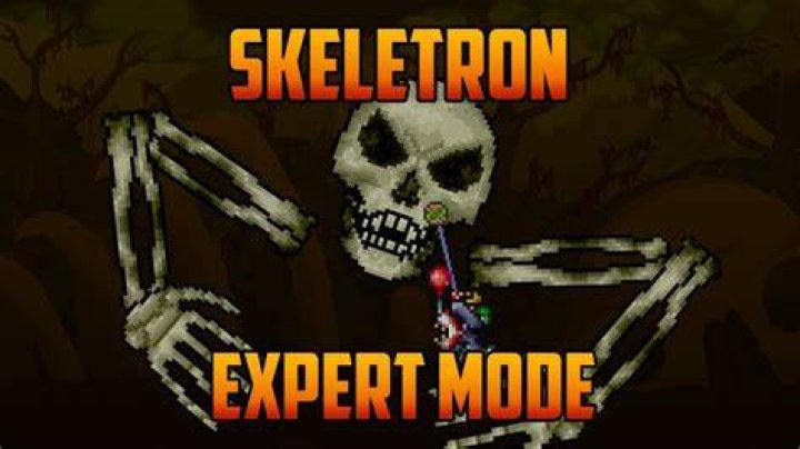 Terraria Skeletron Expert Mode Yoyo Guide YouTube