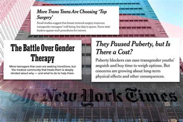 The Onion's Transgender Coverage: Insightful Or Offensive?