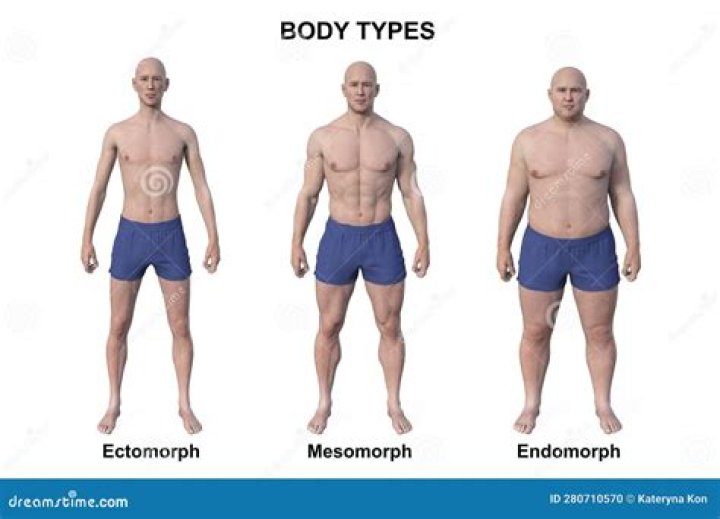 THREE DIFFERENT BODY TYPES (TORSO/LEG PROPORTIONS) SET TO SAME HEIGHT