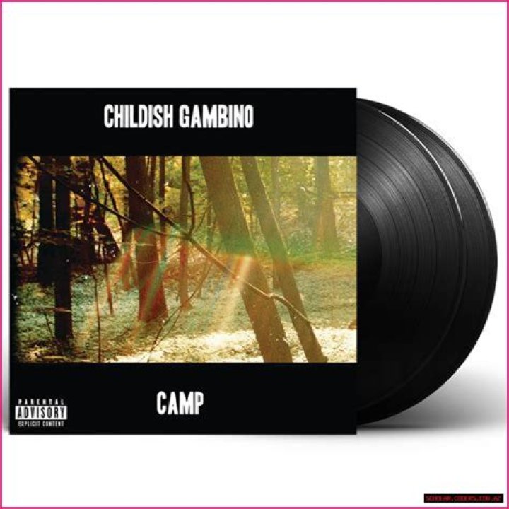 Uncovering The Origins: Did Childish Gambino Emerge From Affluence?