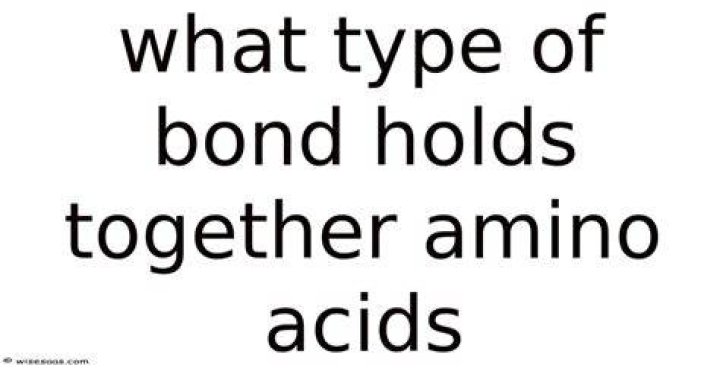 What Type of Bond Holds Dna Strands Together