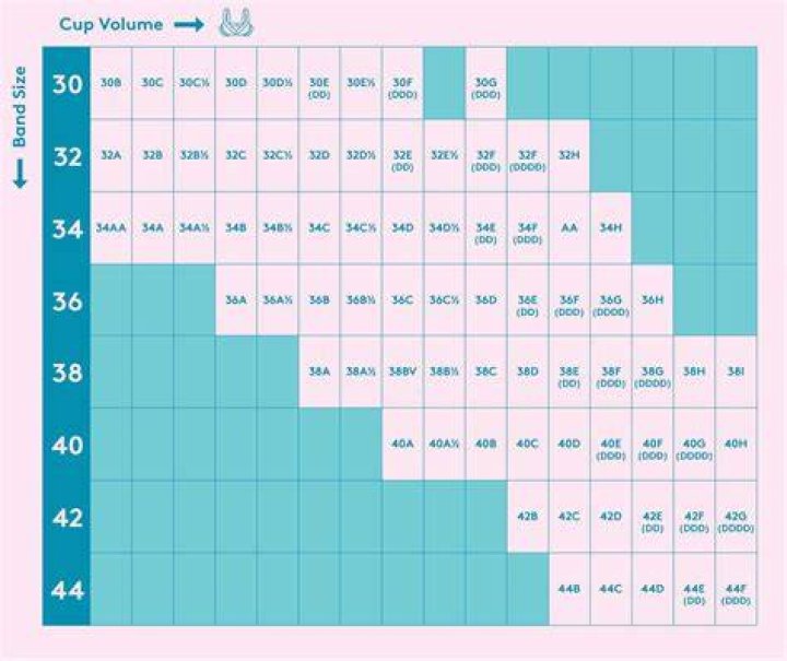 Whats my bra size calculator tabletgross