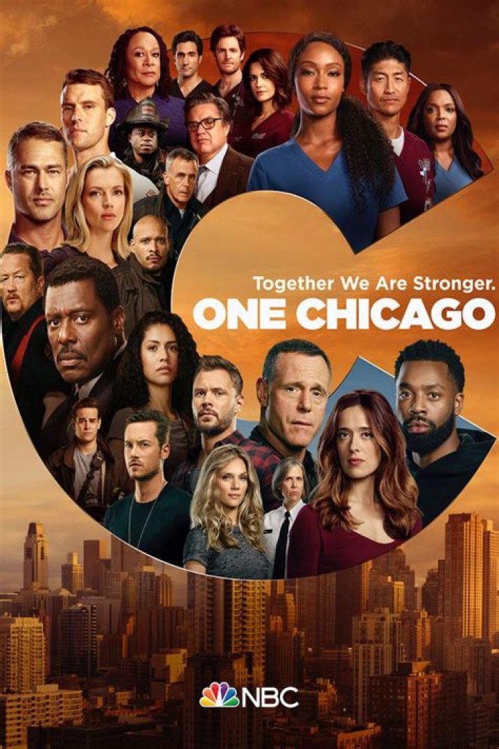 Why One Chicago's Adam Ruzek Looks So Familiar